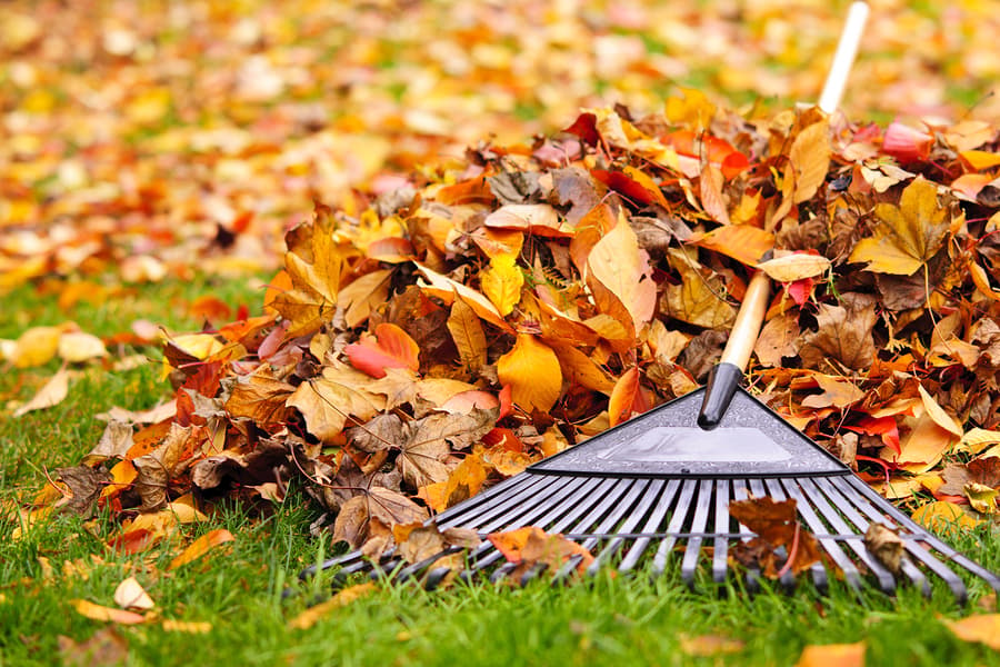 The Best Time to Insulate Your Home in St. Louis