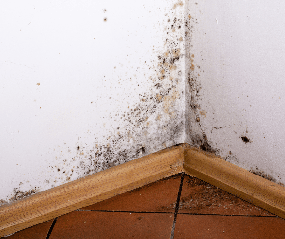 How Moisture Can Affect Your Home and Spray Foam Insulation