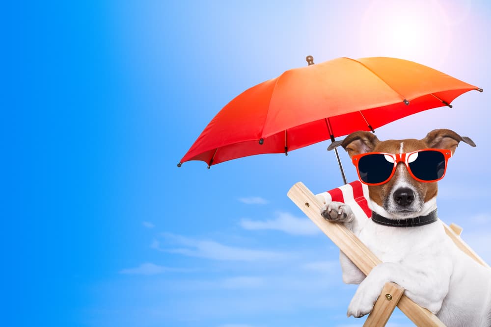 Insulation For Hot Climates What To Consider