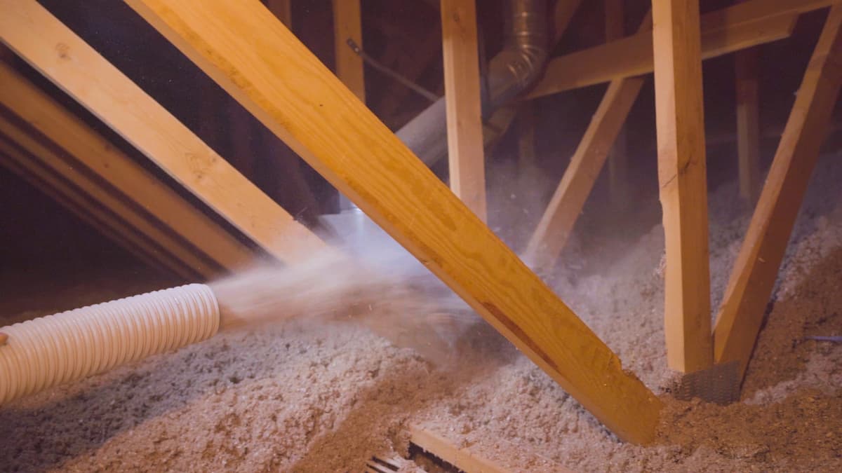 How Insulation Helps Prevent Pest Infestations