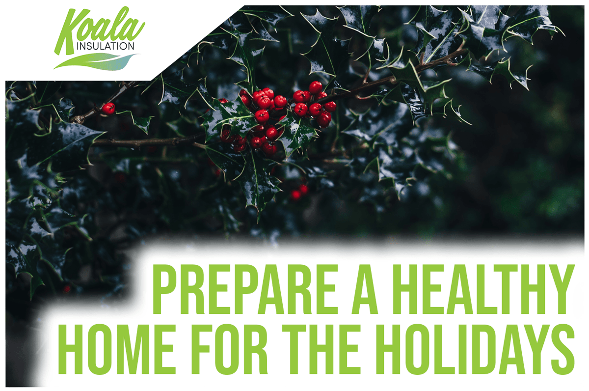 How to Have a Healthy Southwest Florida Home This Holiday Season