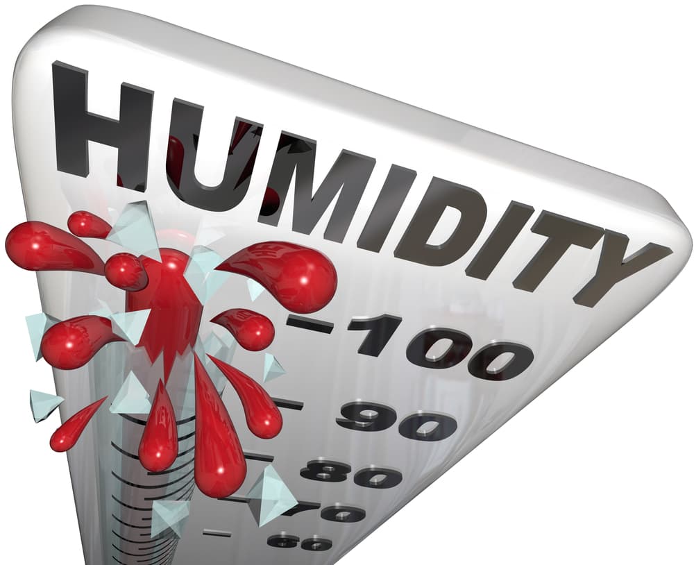 Insulation Solutions for Humidity Control in St. Paul’s Summer Climate