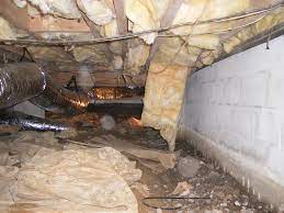 My Insulation Got Wet . . . Now What?