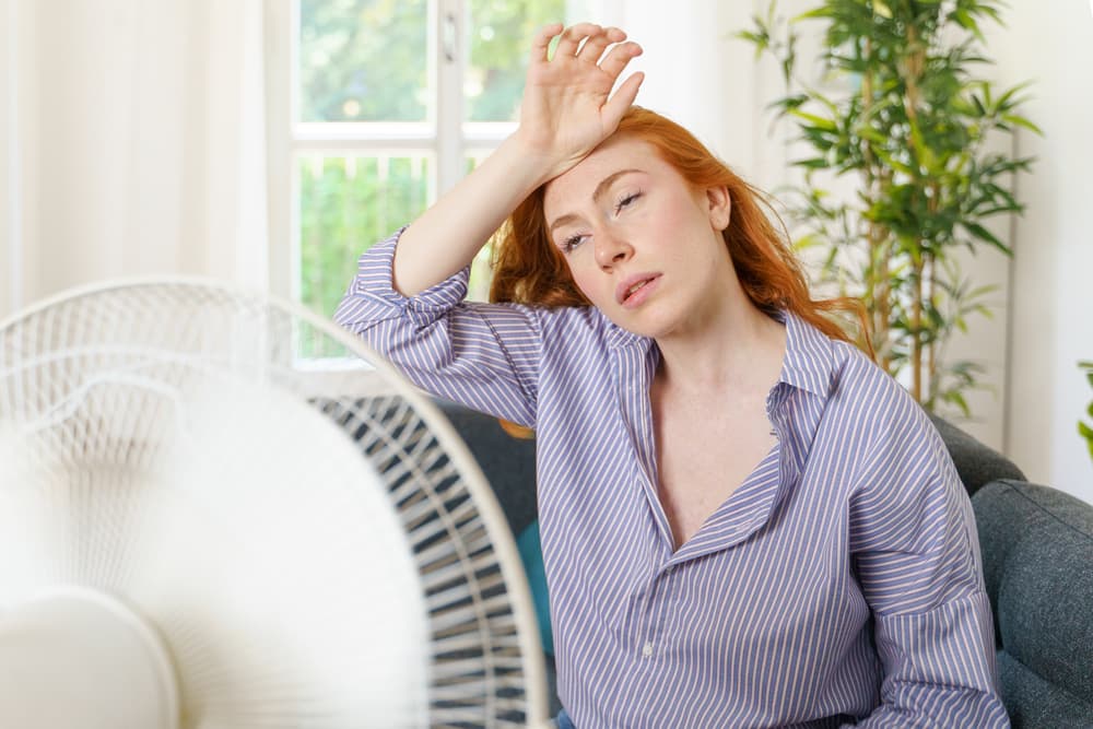 How Koala Insulation Helps You Fight Florida’s Hot Summers