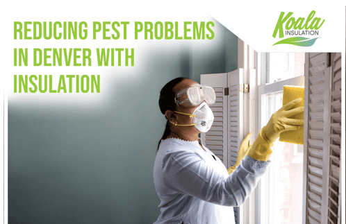 Reducing Pest Problems in Denver with the Right Insulation