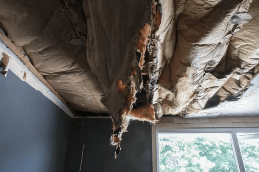 Attic Insulation Problems | Call Koala Insulation of Jacksonville