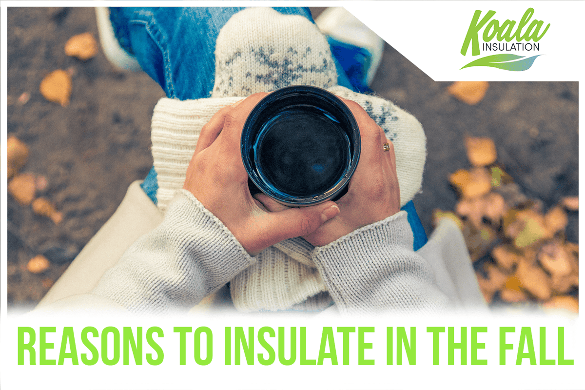 4 Reasons to Insulate Your Southwest Florida Home in the Fall