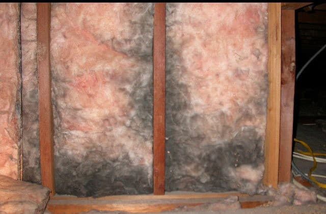 Why Is My Insulation Wet