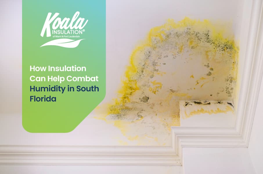 Combatting Humidity in South Florida: The Essential Role of Insulation