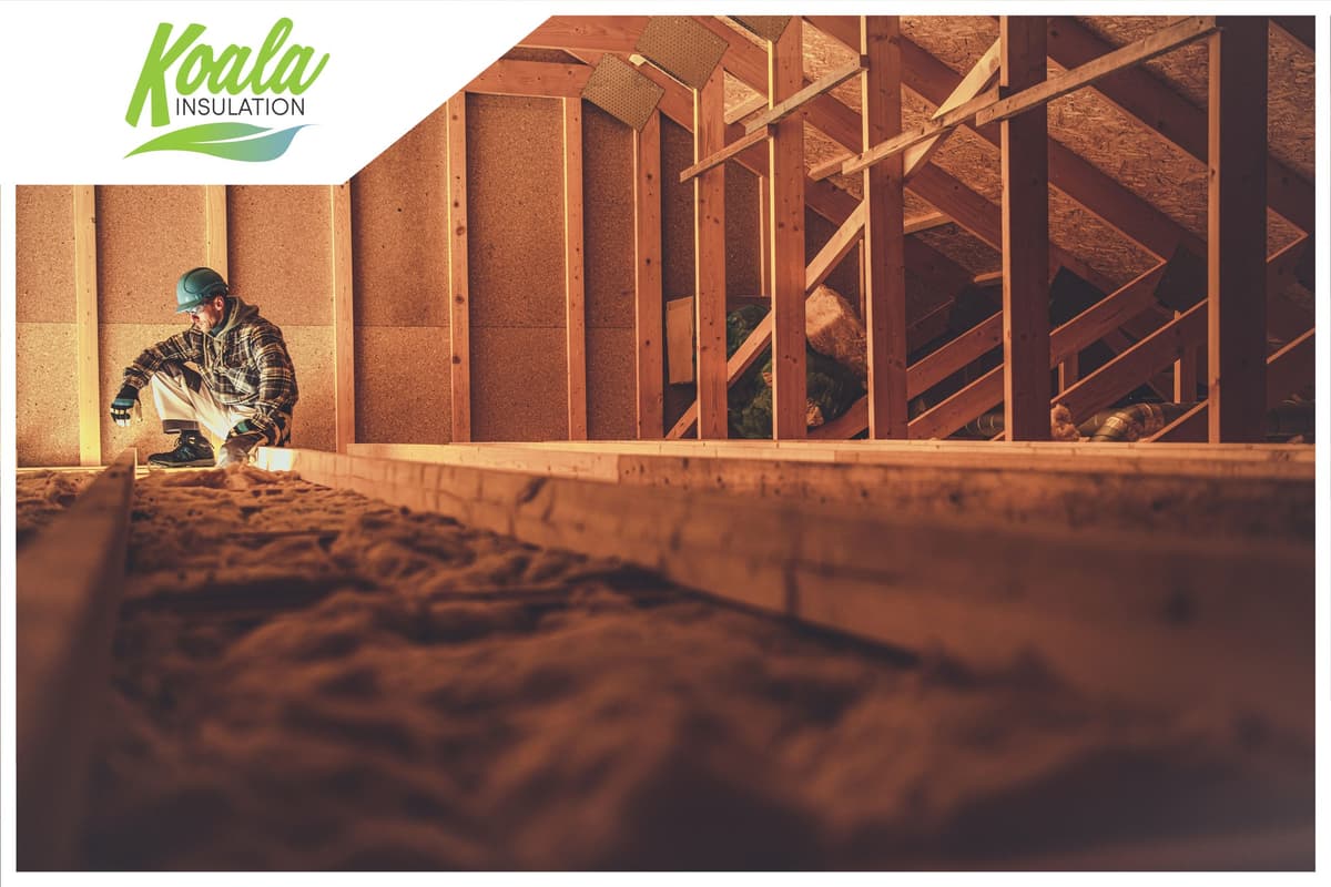 Attic Insulation Removal in West Florida | Koala Insulation of West Fl