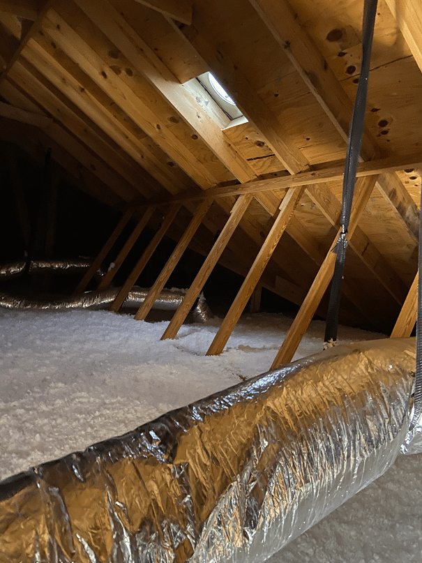 Shocking Things Seen in Dallas and Plano Attics, Part 2
