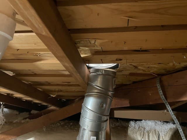 Shocking Things Seen in Dallas and Plano Attics, Part 3
