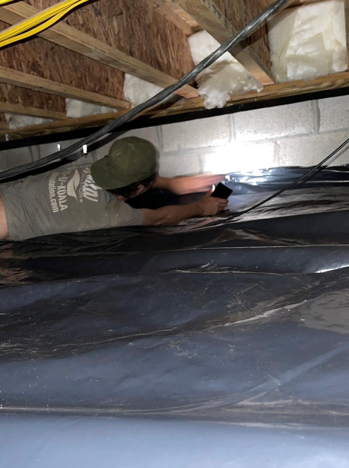Best Ways to Prevent Mold in Your Crawl Space