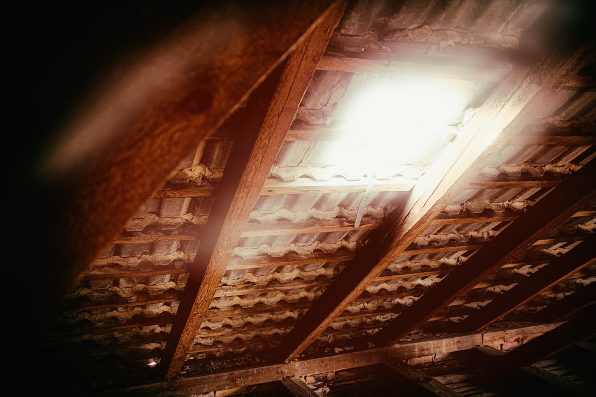 Do You Need to Remove Your Attic Insulation?