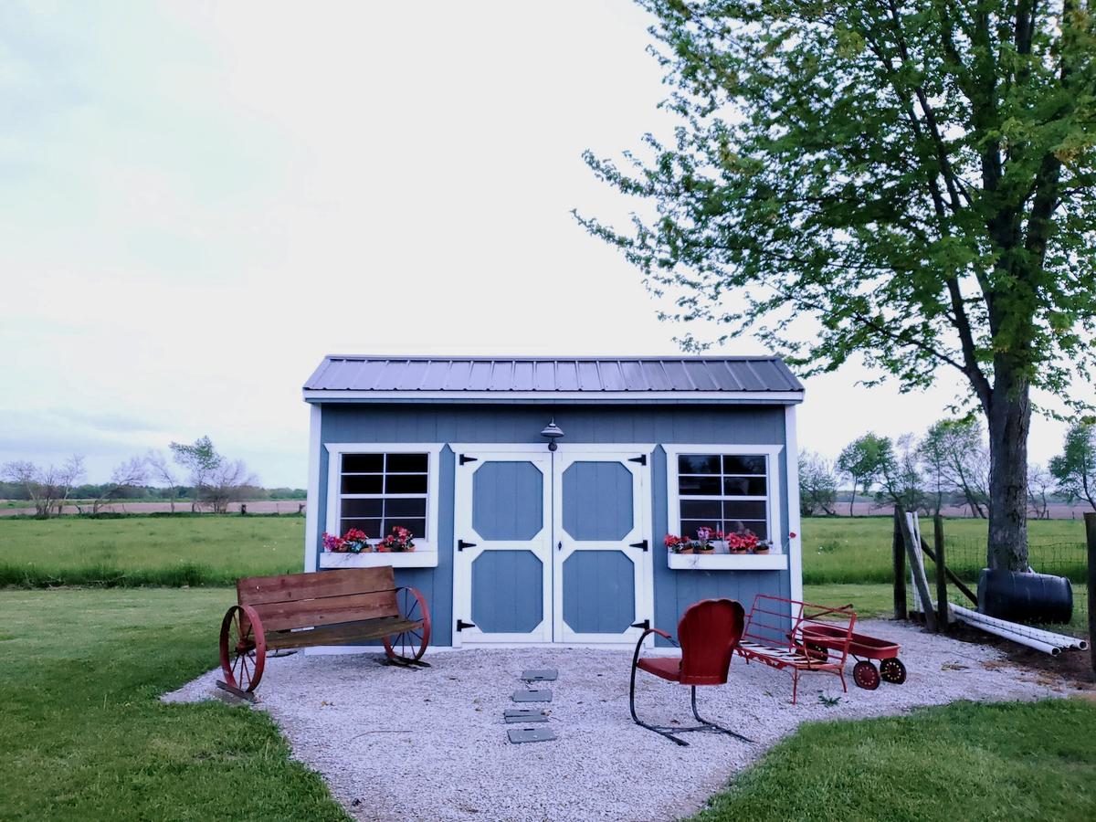 Top Insulation Solutions for a More Comfortable Shed