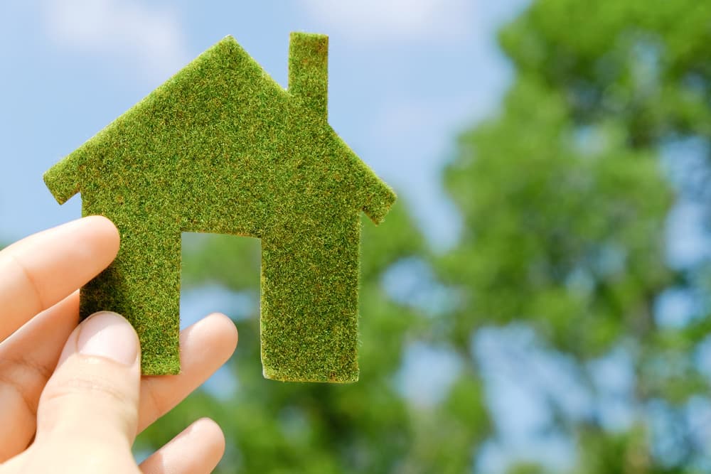 Insulation For Green Buildings