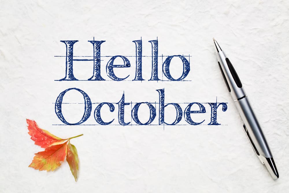 October Insulation: Smart Comfort for West Florida Homes