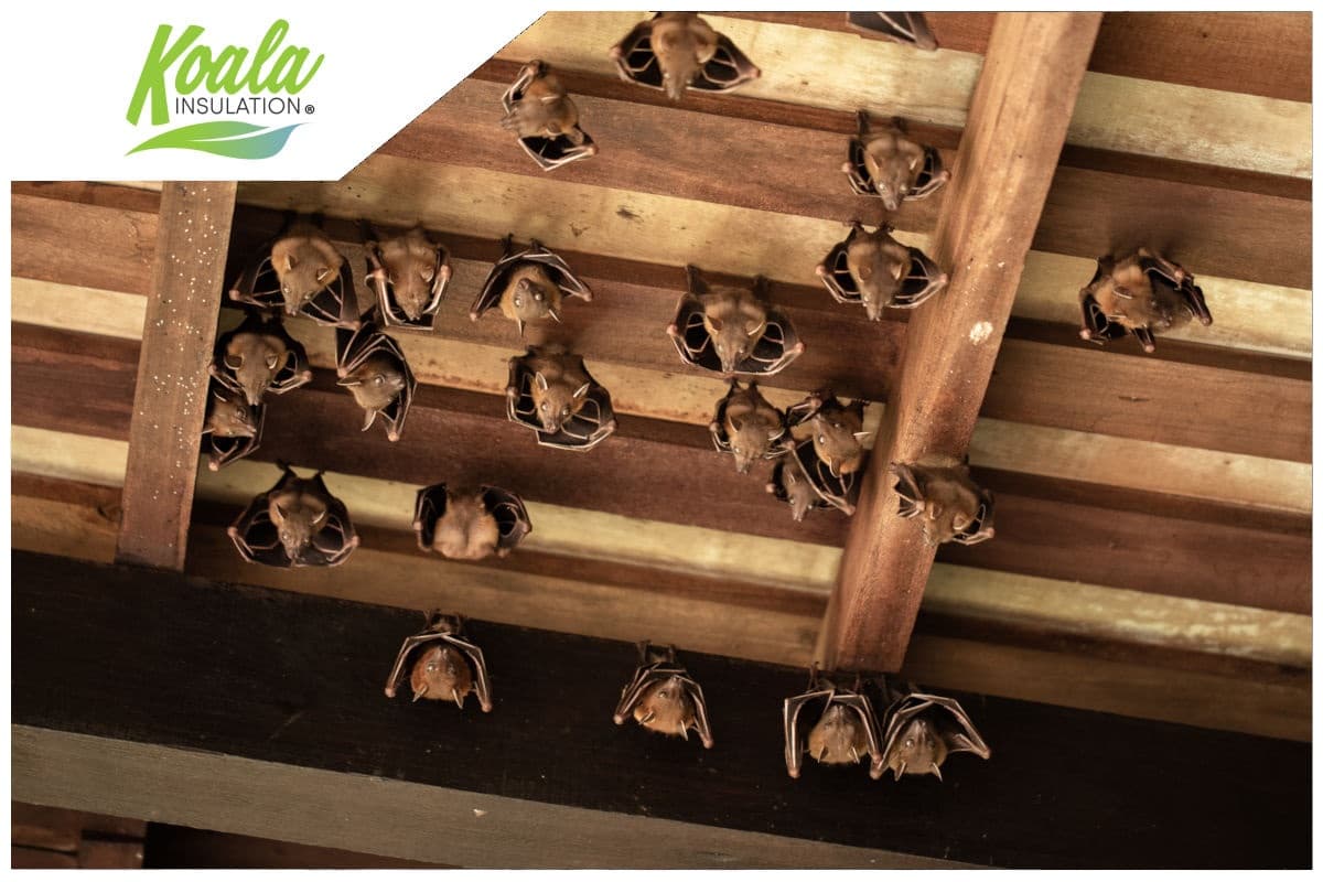 Here’s Why You Need Insulation Replacement