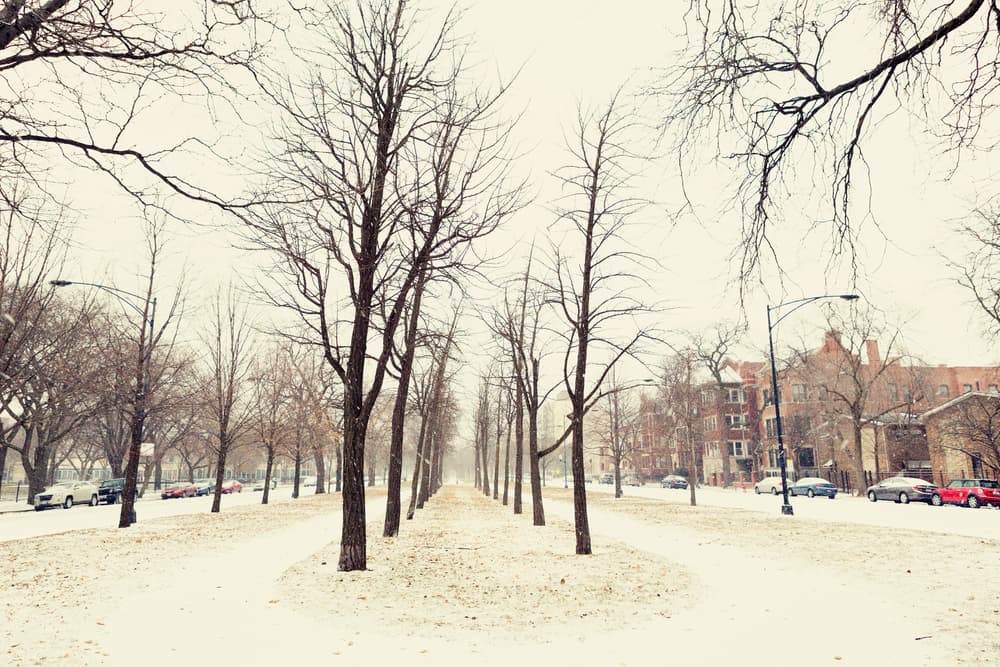 Prep for Chicago’s Cold: Ensure a Warm and Energy-Efficient October