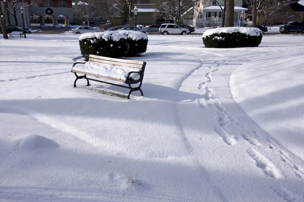 Insulation Essentials for Extreme Cold: Surviving the Polar Vortex