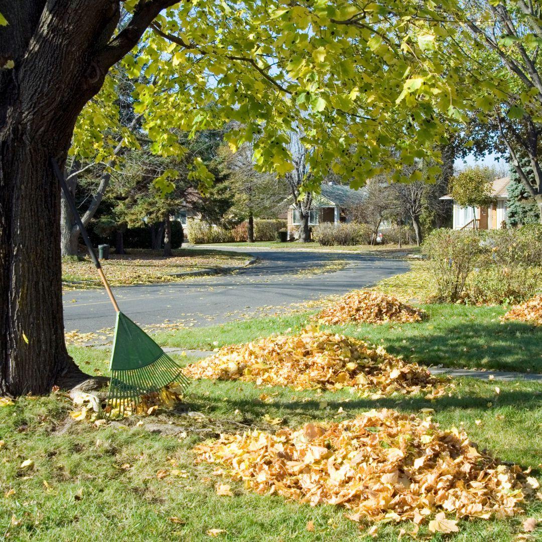 Fall is a Great Time to Insulate Your St. Louis Home