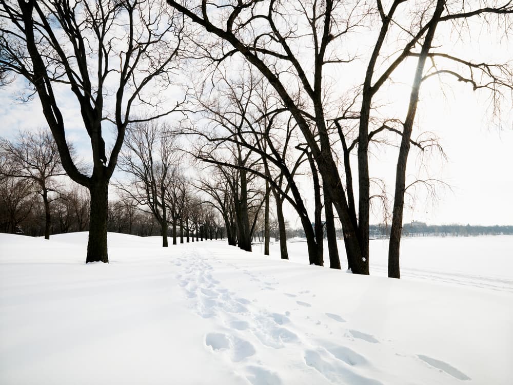 Importance Of Proper Insulation in Colder Climates