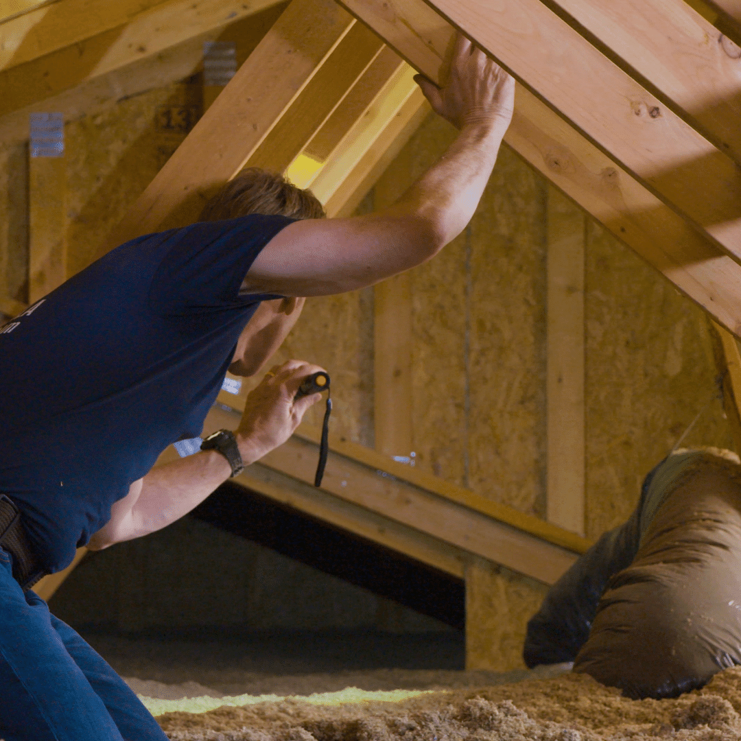Insulation 101: How to Check Your Attic Insulation