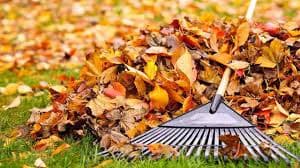 6 Must-Do Home Maintenance Tasks for Fall