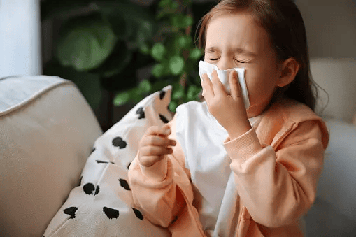 Can Insulation Help Reduce Allergy Symptoms