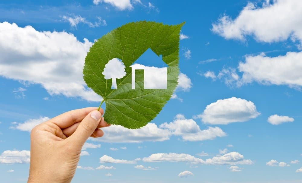 Earth Day and Reducing Your Carbon Footprint in St. Louis