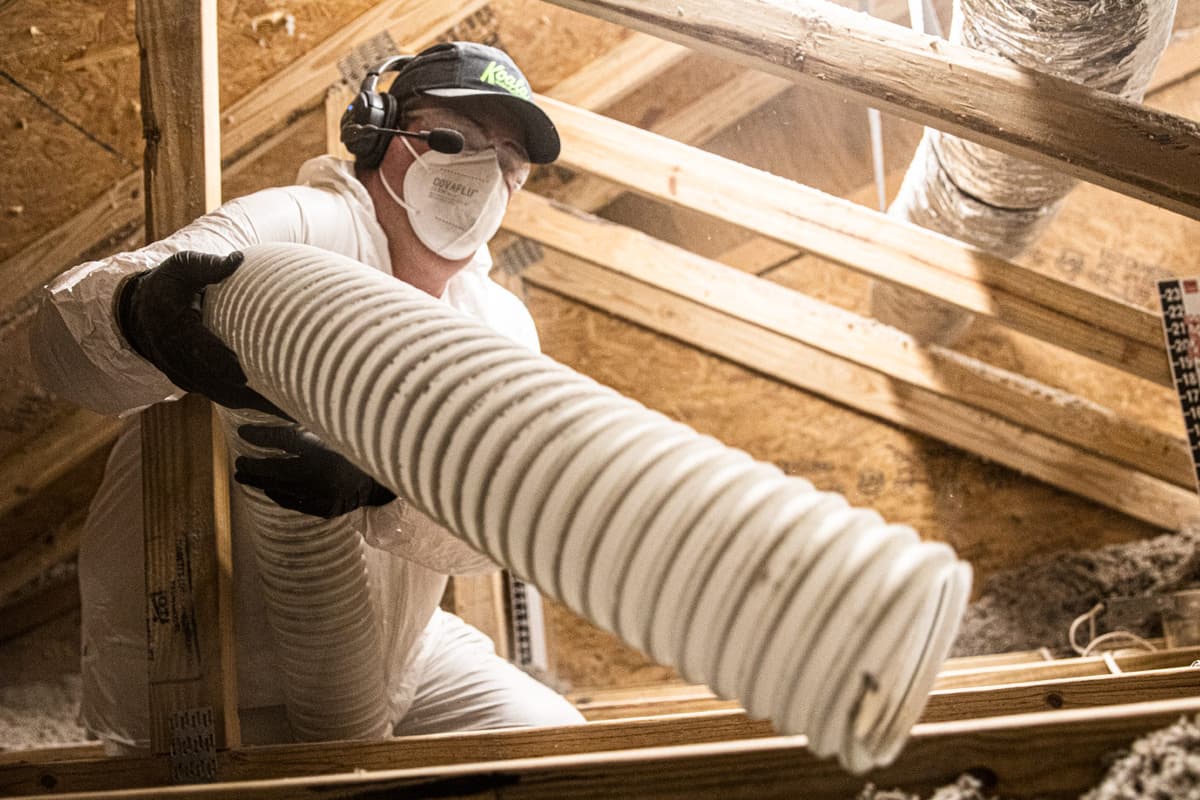 Cellulose vs. Fiberglass Insulation | Koala Insulation of West Florida