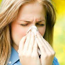 Insulation and Allergens and How They are Connected