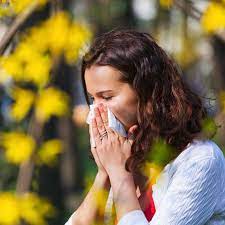 Can Insulation Help Minimize Seasonal Allergies in South Kansas City