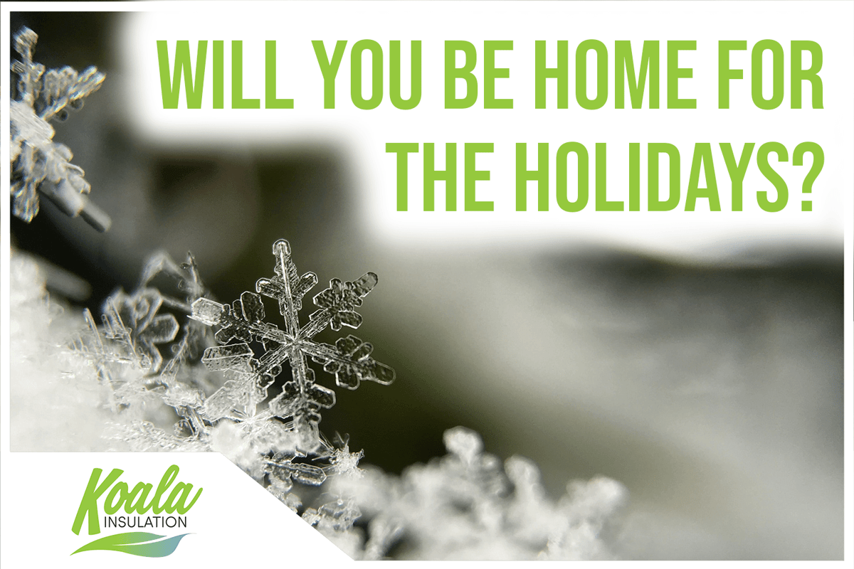 Will You Be Home in Southwest Chicago for the Holidays?