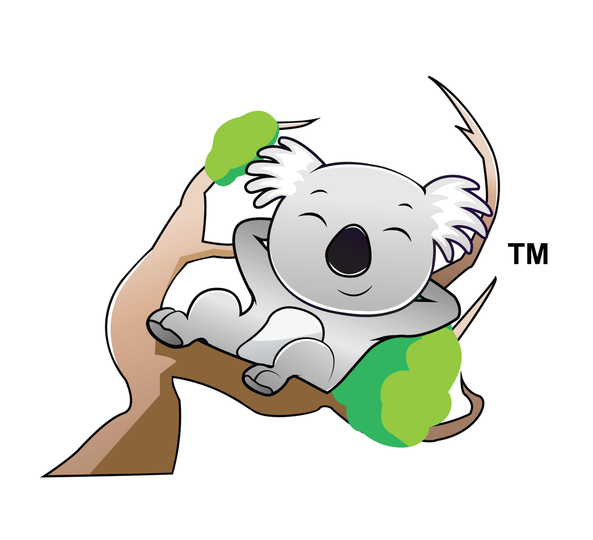 Insulation Services in Beaver Creek for Energy Efficiency & Comfort