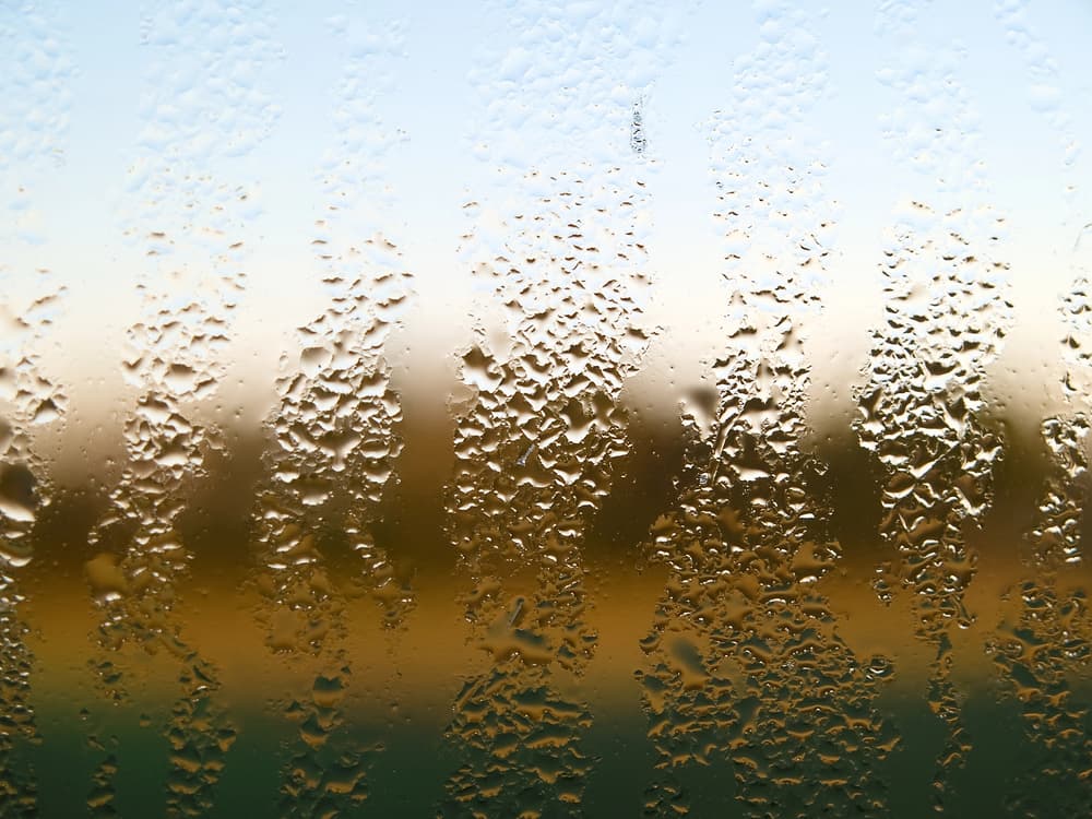 Insulation For Moisture Control