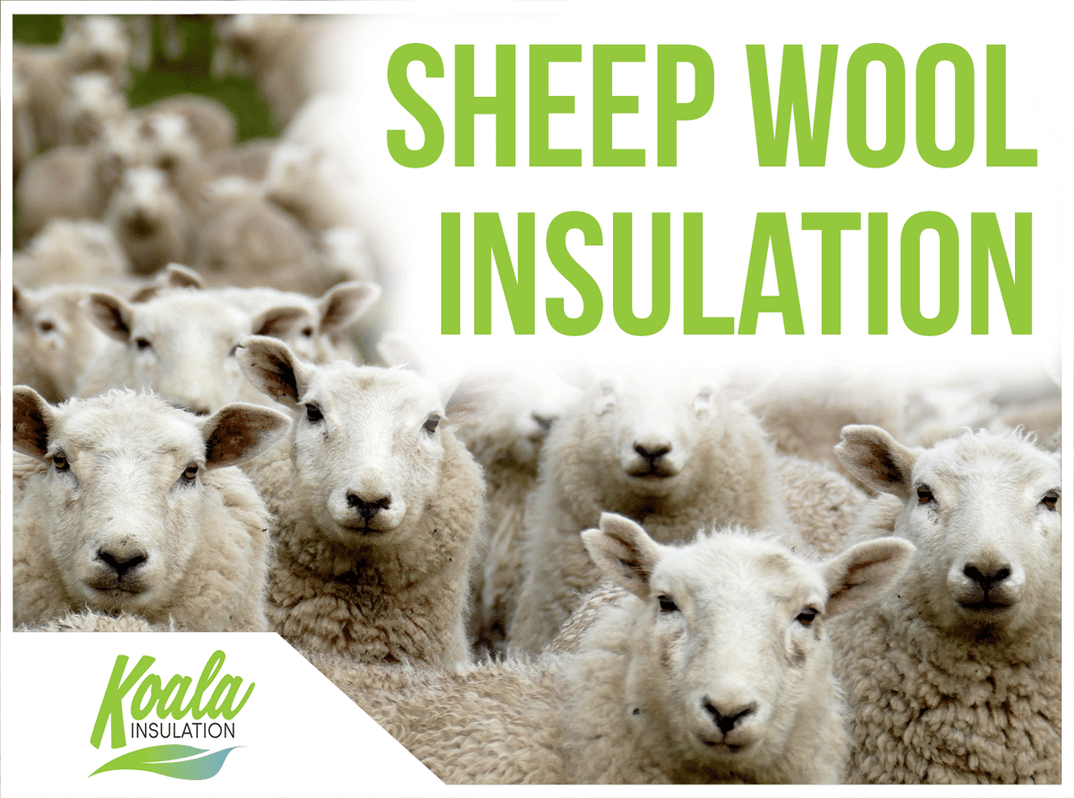 What is Sheep Wool Insulation?