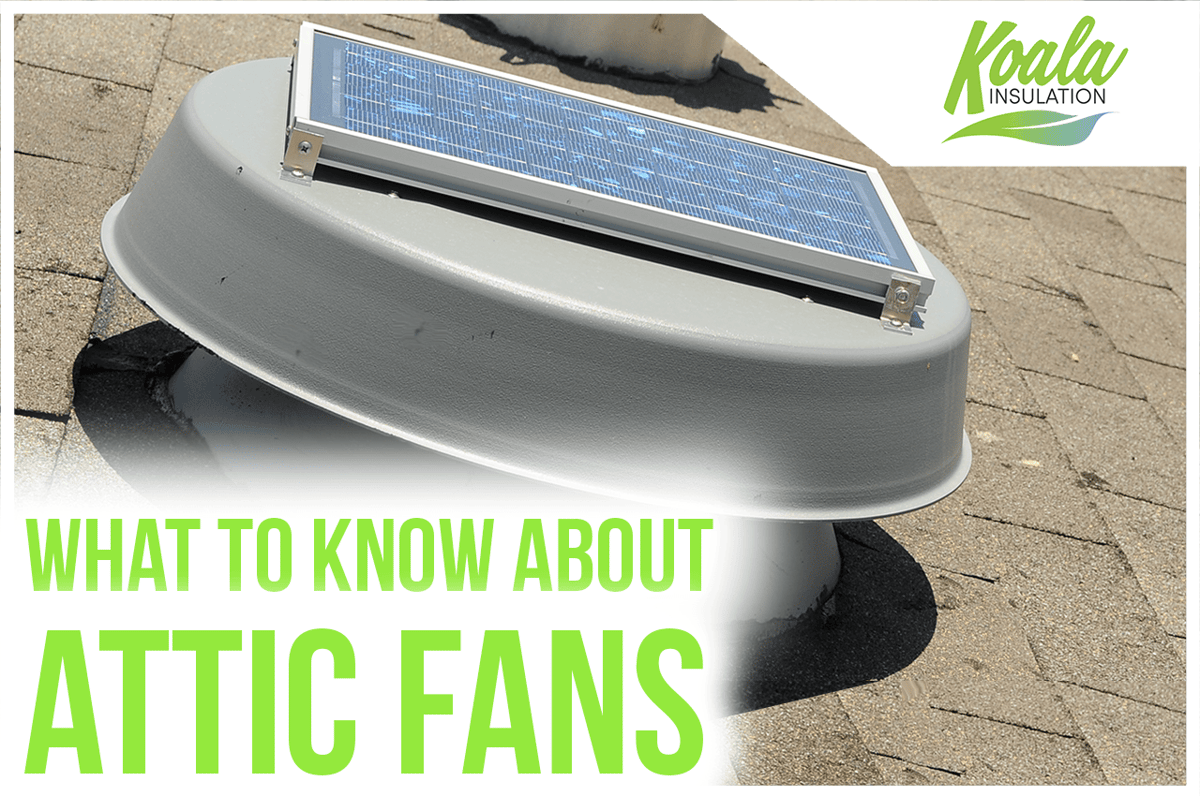What to Know About Attic Fans in Jacksonville, FL