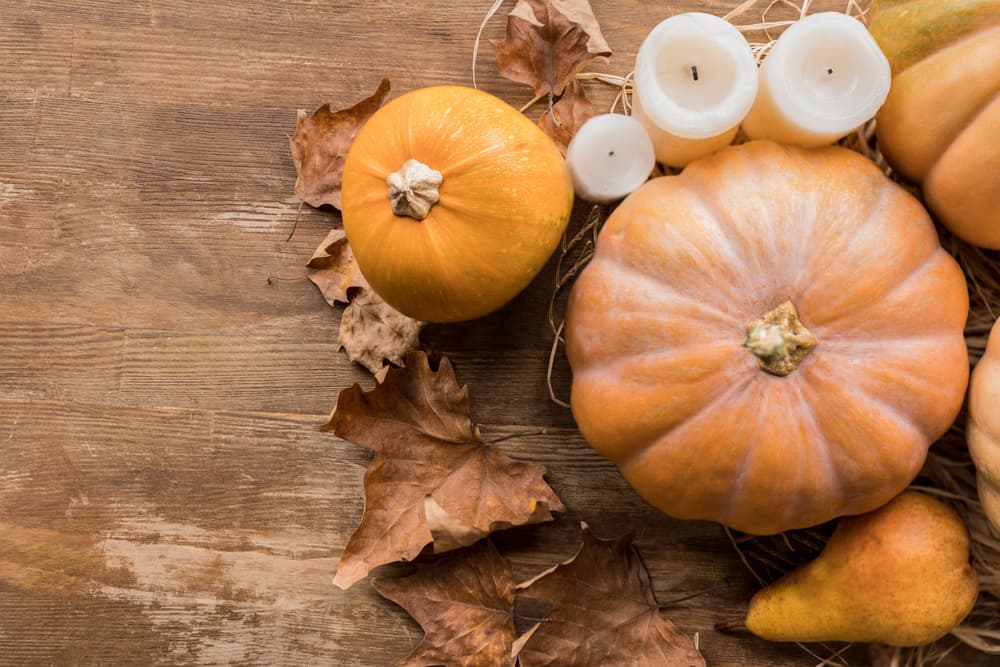 October Energy Savings: How Insulation Boosts Efficiency in Tampa Home