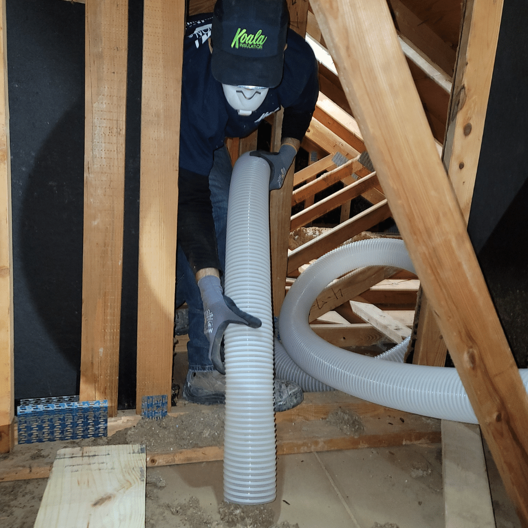 Insulation 101: Should I remove my insulation?