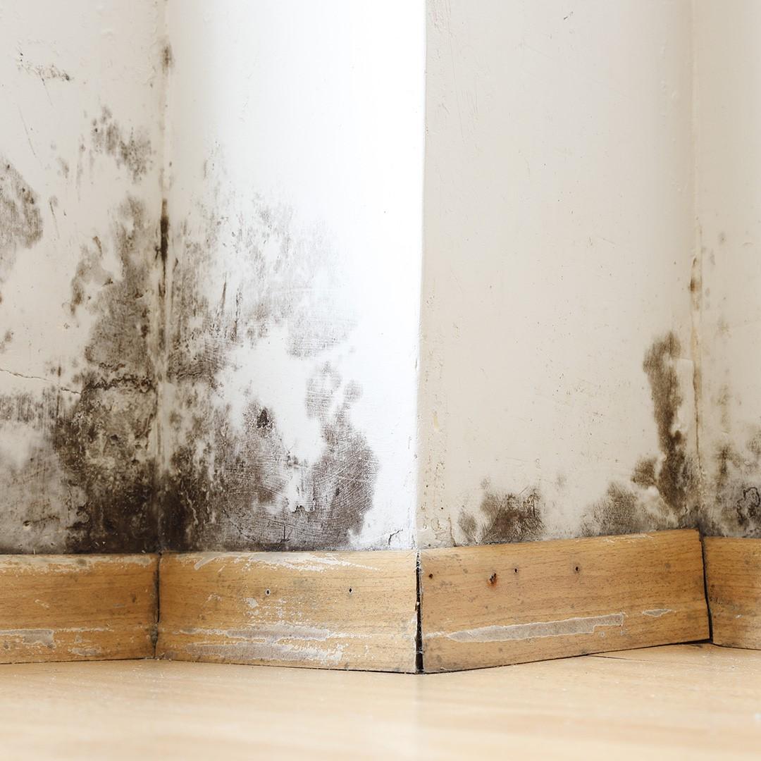 Is My Insulation Ruined if It Gets Wet?