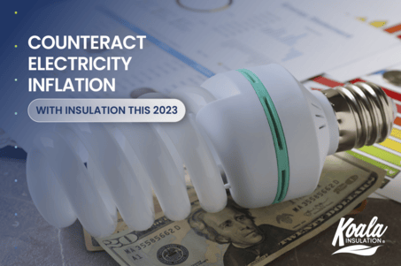 Offset Rising Energy Prices with Home Insulation