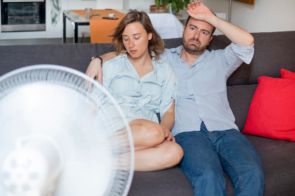 Insulation Essentials in Florida’s Climate from Koala Insulation
