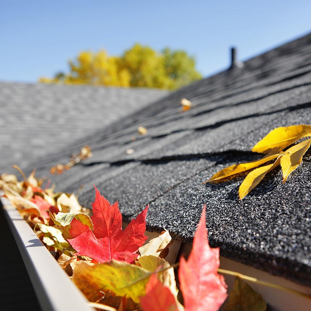 Why Fall Is the Perfect Season for an Insulation Upgrade