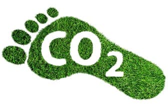 Kicking Off the New Year by Reducing your Carbon Footprint