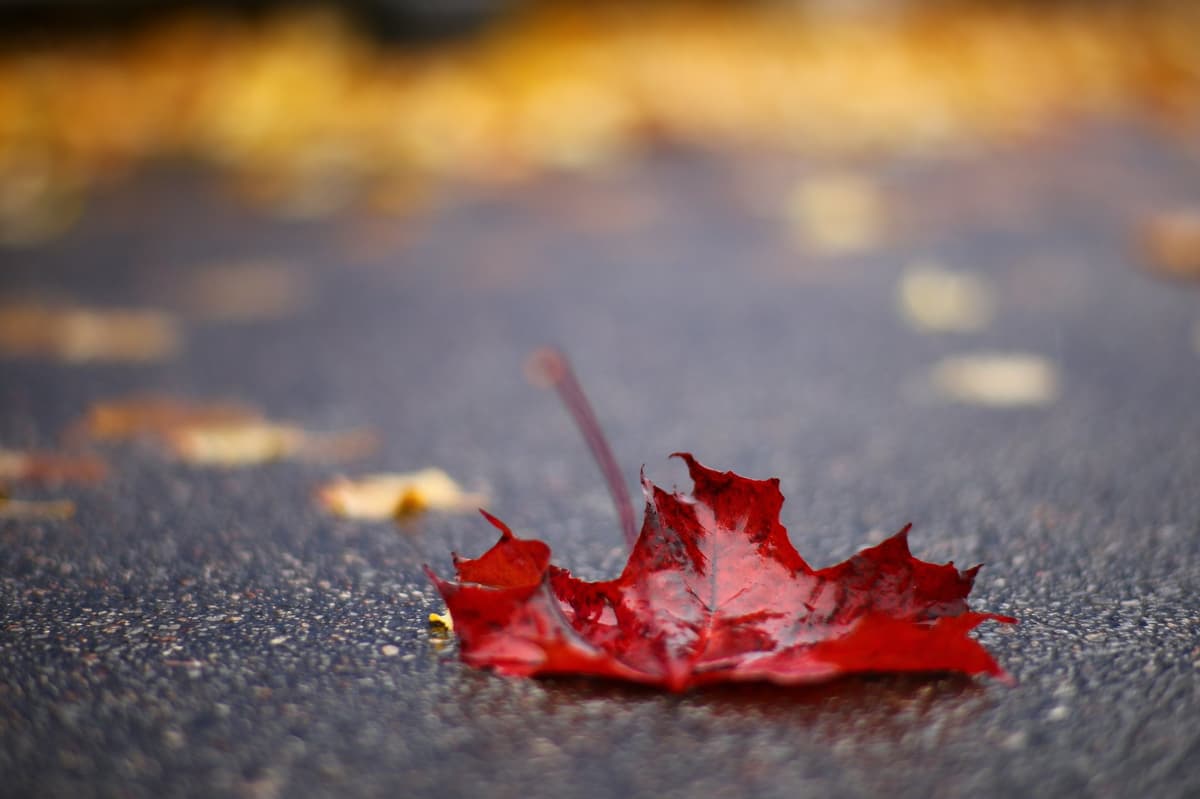 Fall Checklist for Protecting Your Home in Winter