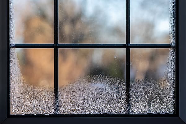 Is Your Home Too Humid? | Koala Insulation of Jacksonville