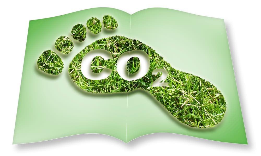 How Insulation Can Help Reduce Your Carbon Footprint and Save Energy