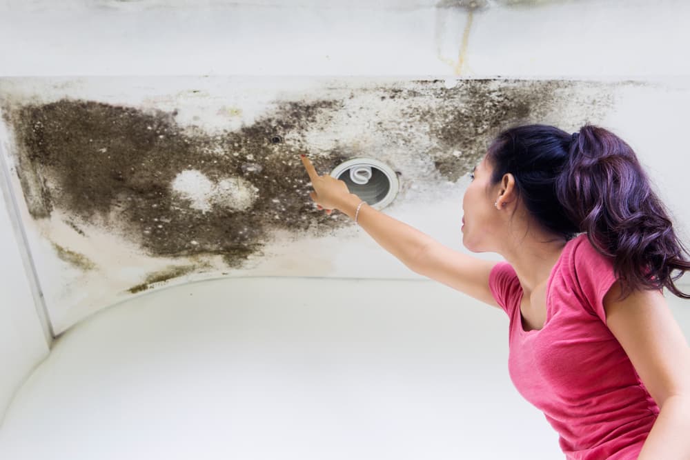 Moisture Control through Insulation: Insights from Koala Insulation