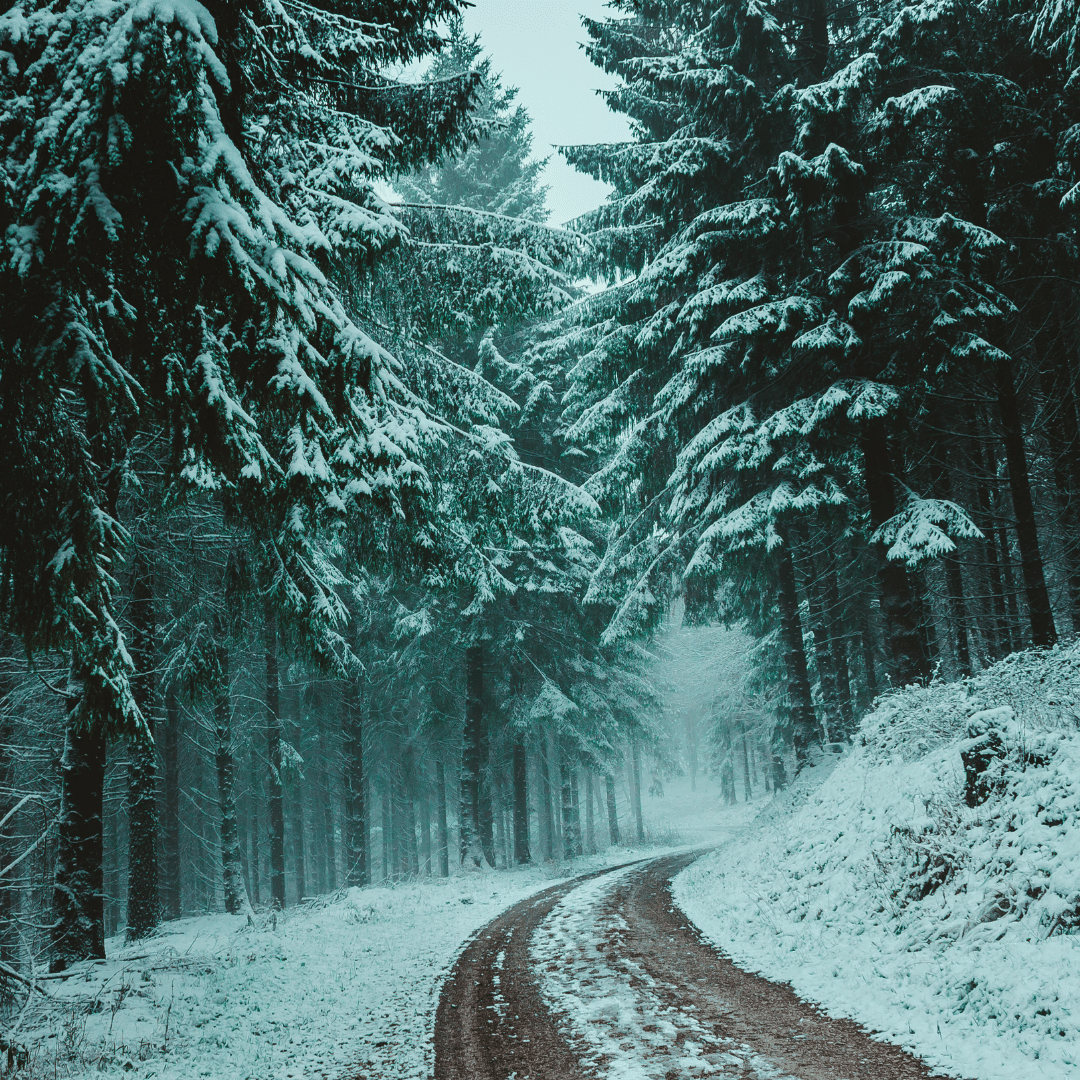 St. Louis Winter Prediction: Snowy and Cold